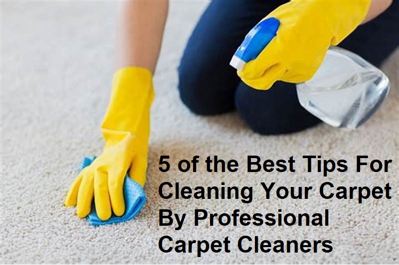 5 of the Best Tips For Cleaning Your Carpet By Professional Carpet Cleaners