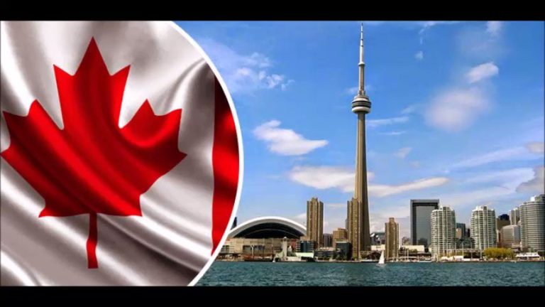 Canada Immigration Consultants