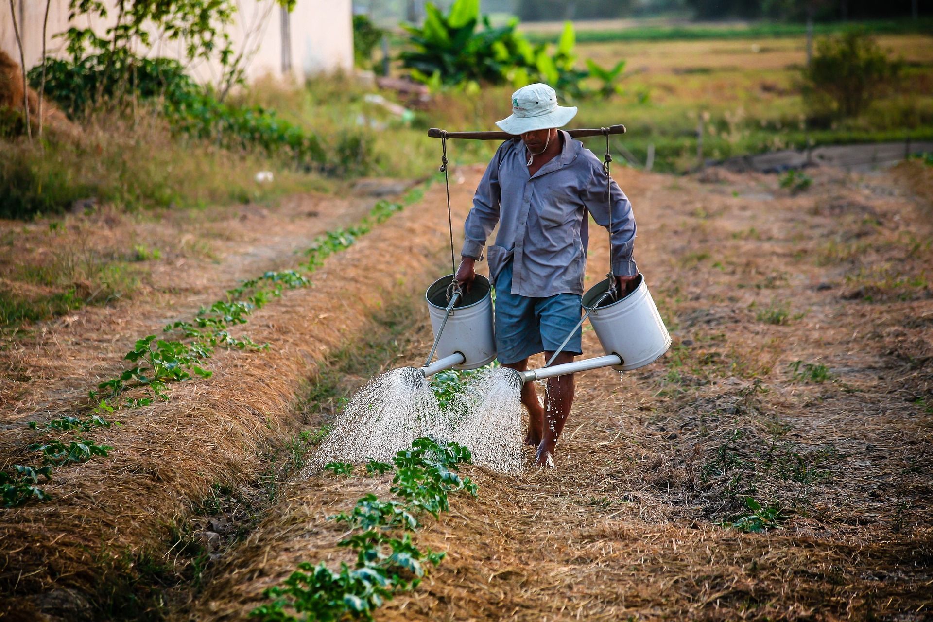 Agriculture Business