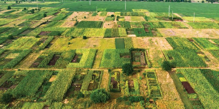 land