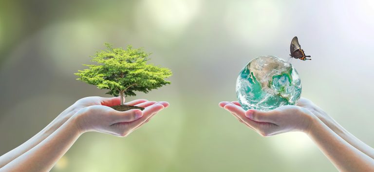 environment